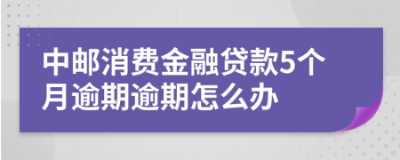 中邮消费金融贷款5个月逾期逾期怎么办