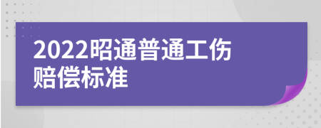 2022昭通普通工伤赔偿标准