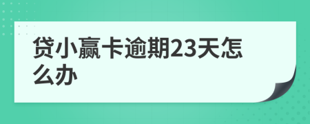 贷小赢卡逾期23天怎么办