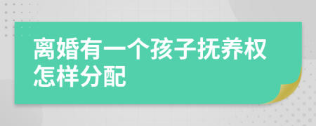 离婚有一个孩子抚养权怎样分配