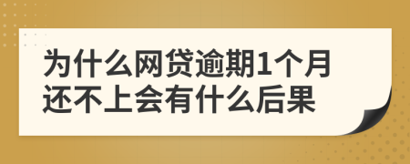 为什么网贷逾期1个月还不上会有什么后果