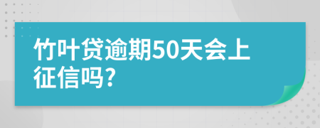 竹叶贷逾期50天会上征信吗?