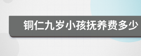 铜仁九岁小孩抚养费多少