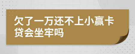 欠了一万还不上小赢卡贷会坐牢吗