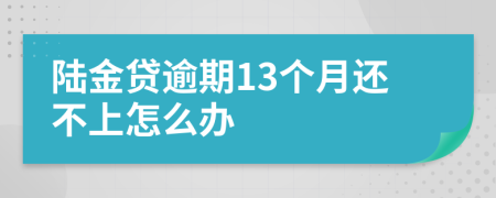 陆金贷逾期13个月还不上怎么办