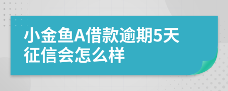 小金鱼A借款逾期5天征信会怎么样