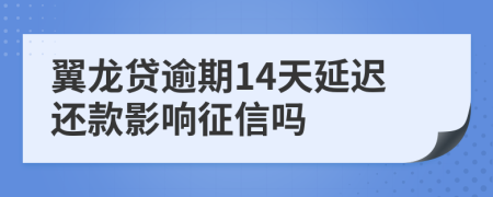 翼龙贷逾期14天延迟还款影响征信吗