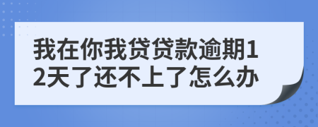 我在你我贷贷款逾期12天了还不上了怎么办
