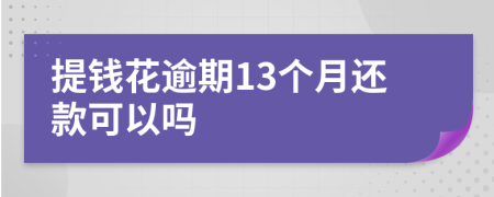 提钱花逾期13个月还款可以吗