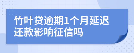 竹叶贷逾期1个月延迟还款影响征信吗