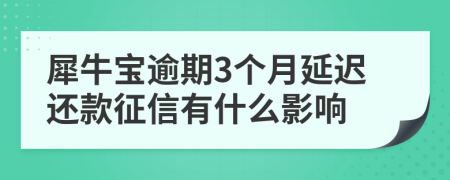 犀牛宝逾期3个月延迟还款征信有什么影响