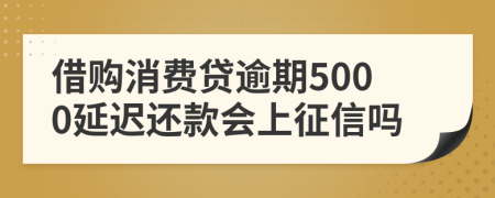 借购消费贷逾期5000延迟还款会上征信吗