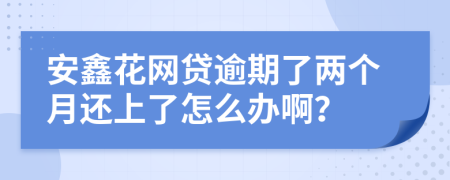 安鑫花网贷逾期了两个月还上了怎么办啊？