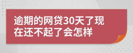 逾期的网贷30天了现在还不起了会怎样