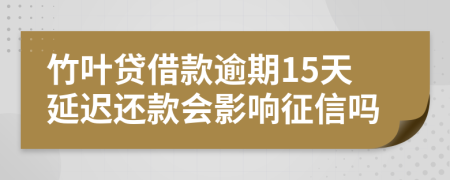 竹叶贷借款逾期15天延迟还款会影响征信吗