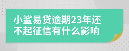 小鲨易贷逾期23年还不起征信有什么影响