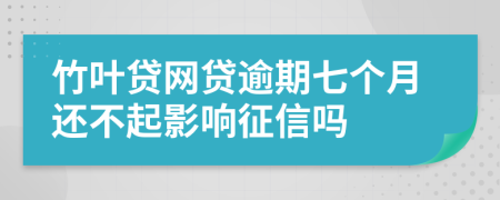 竹叶贷网贷逾期七个月还不起影响征信吗