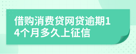 借购消费贷网贷逾期14个月多久上征信