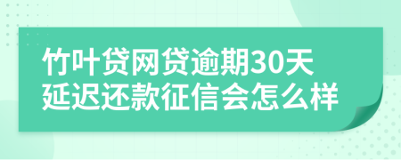 竹叶贷网贷逾期30天延迟还款征信会怎么样