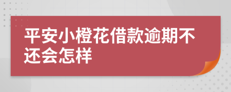 平安小橙花借款逾期不还会怎样