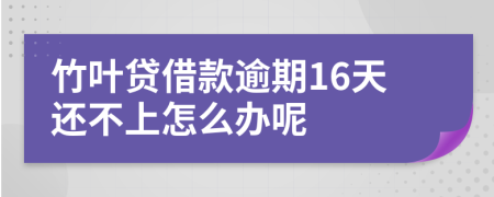 竹叶贷借款逾期16天还不上怎么办呢