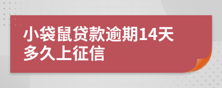 小袋鼠贷款逾期14天多久上征信