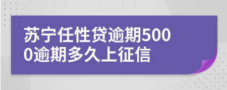 苏宁任性贷逾期5000逾期多久上征信