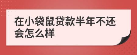 在小袋鼠贷款半年不还会怎么样