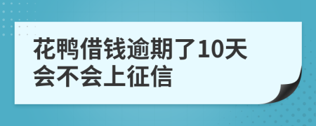 花鸭借钱逾期了10天会不会上征信