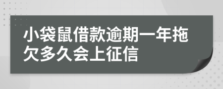 小袋鼠借款逾期一年拖欠多久会上征信