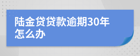 陆金贷贷款逾期30年怎么办