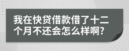 我在快贷借款借了十二个月不还会怎么样啊?