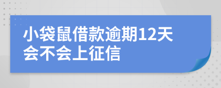 小袋鼠借款逾期12天会不会上征信