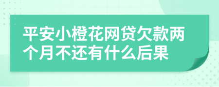 平安小橙花网贷欠款两个月不还有什么后果