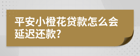 平安小橙花贷款怎么会延迟还款?