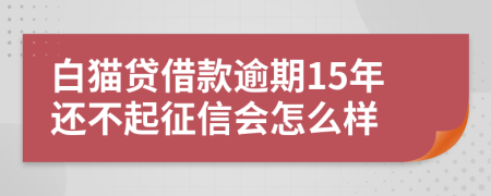 白猫贷借款逾期15年还不起征信会怎么样