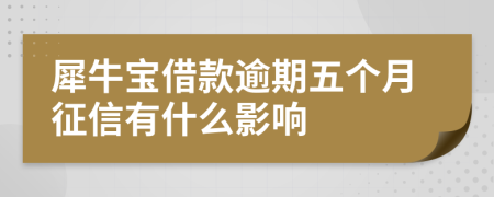 犀牛宝借款逾期五个月征信有什么影响