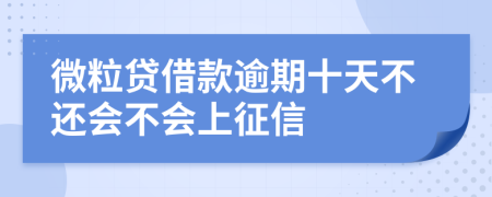 微粒贷借款逾期十天不还会不会上征信