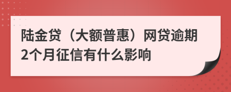 陆金贷（大额普惠）网贷逾期2个月征信有什么影响