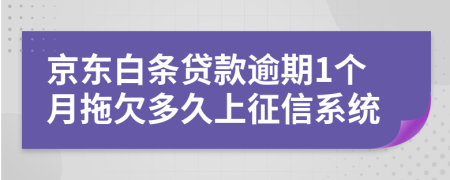 京东白条贷款逾期1个月拖欠多久上征信系统