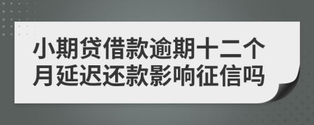 小期贷借款逾期十二个月延迟还款影响征信吗