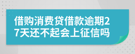 借购消费贷借款逾期27天还不起会上征信吗