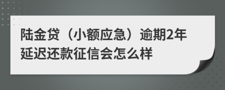 陆金贷（小额应急）逾期2年延迟还款征信会怎么样