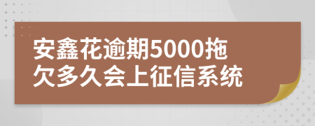 安鑫花逾期5000拖欠多久会上征信系统