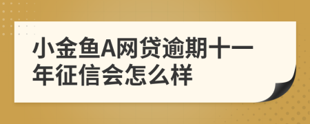 小金鱼A网贷逾期十一年征信会怎么样