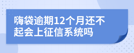 嗨袋逾期12个月还不起会上征信系统吗