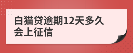 白猫贷逾期12天多久会上征信