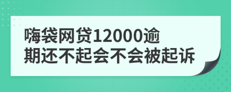 嗨袋网贷12000逾期还不起会不会被起诉