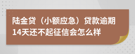 陆金贷（小额应急）贷款逾期14天还不起征信会怎么样