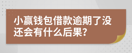 小赢钱包借款逾期了没还会有什么后果？